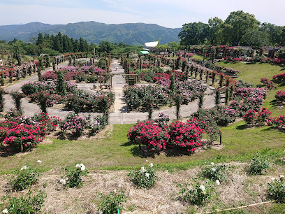 Kirishimagaoka Park Camping Ground