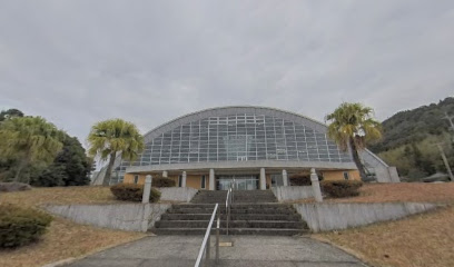 Kokeke Dome