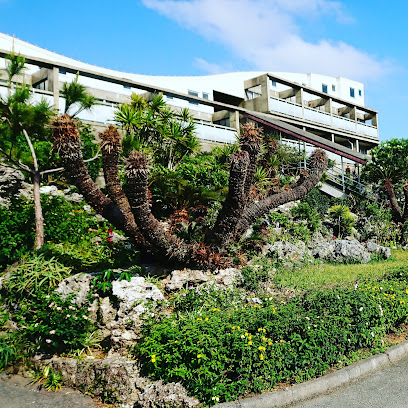 Yoron Island Village