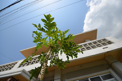 Yomitanson Resort House