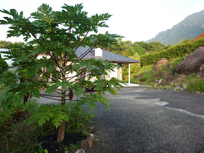 宿 天豆(sora-mame)