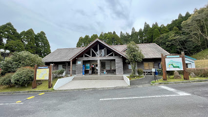 The auto camp forest Kawanabe