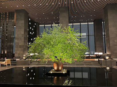 Aman Tokyo