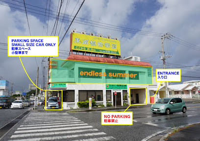 Endless Summer