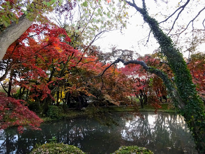 Lotus Pond