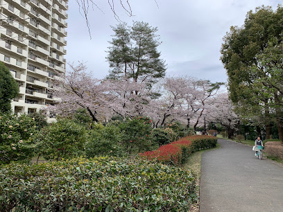 夏の雲公園 つばき園