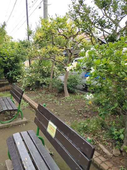Suginami Kuritsu Matsunoki Central Park
