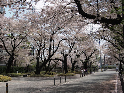 Josuiminami Park