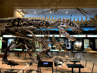 Kitakyushu Museum of Natural History & Human History