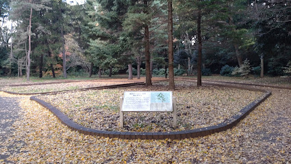 東京オリンピック記念樹木見本園