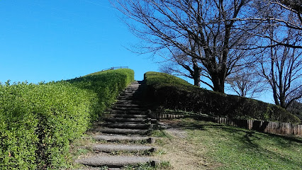 Koganei Park Fujimino Hill