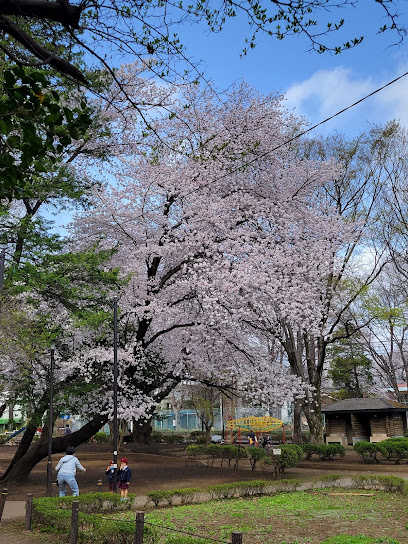 Josui Park