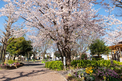 Sakainotani Park