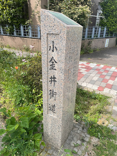 小金井街道