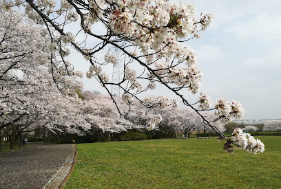 Akigase Park