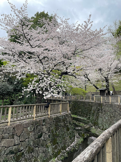 Otonashi Water Park