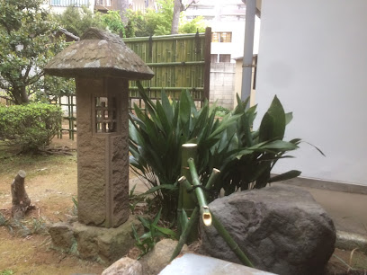 梢 植木