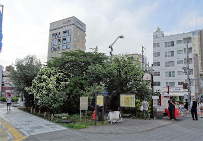 Site of Former Asakusa Astronomical Observatory