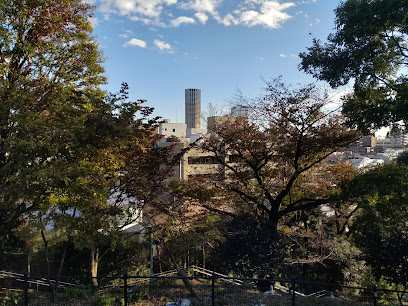 展望台