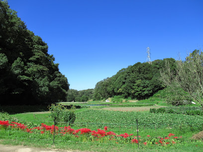 National Akashi-kaikyo Park Kobe Dist. Aina Satoyama Park
