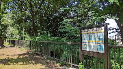 Itabashi Kuritsu Shimurashiroyama Park