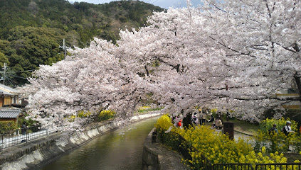Higashiyama Nature Park
