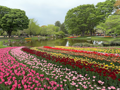 Flower Garden (West Field)