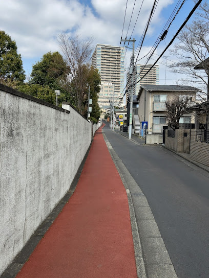 Nasoi-zaka