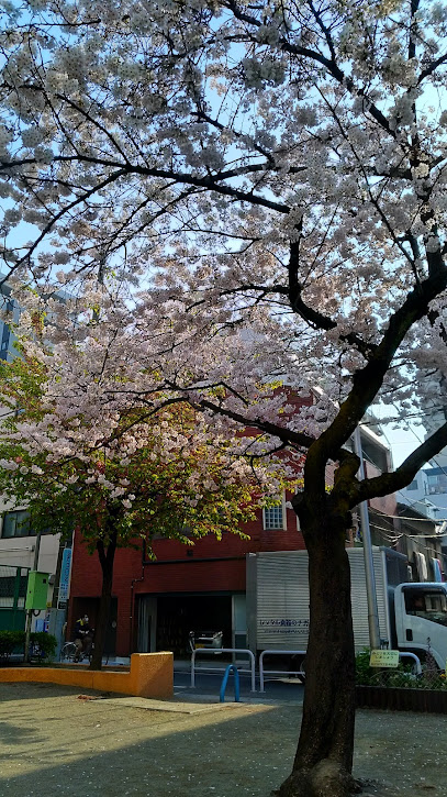Taito Kuritsu Matsugaya Park