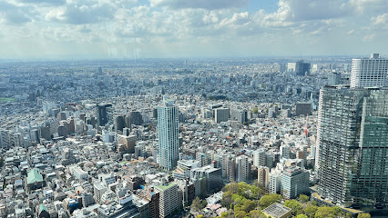Tokyo Metropolitan Government Building North Observatory