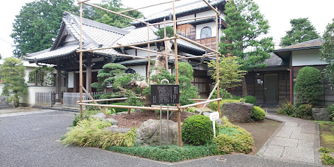 源正寺のイヌツゲ
