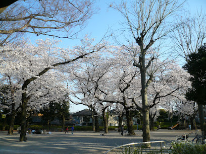 Tokiwadai Park