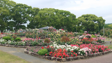 駕与丁公園 バラ園