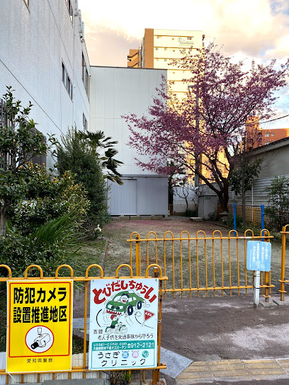泉どんぐり広場
