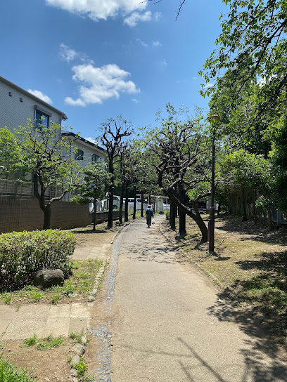 喜多見緑道