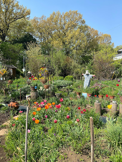 Morita Open Garden