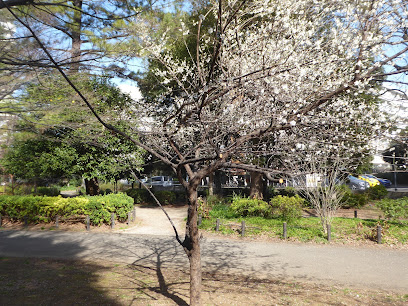 Toyama Park (Okubo area) Flower Plaza