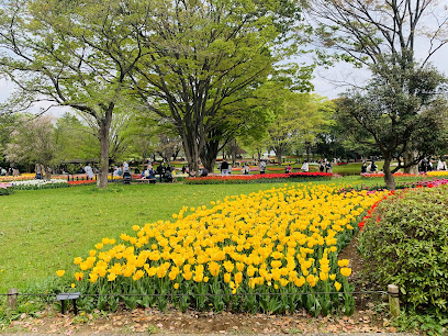 Showa Kinen National Park
