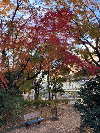 Itabashi Kuritsu Nakadaishiinoki Park