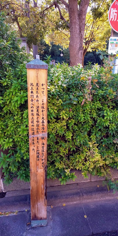 Shiomi-zaka