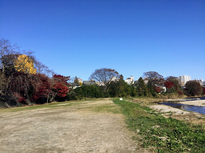 米ヶ袋スポーツ公園