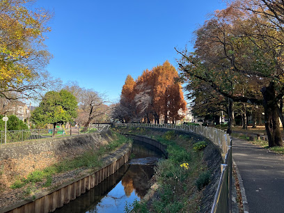 Yama-no-Koen Temae