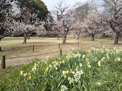Plum Grove