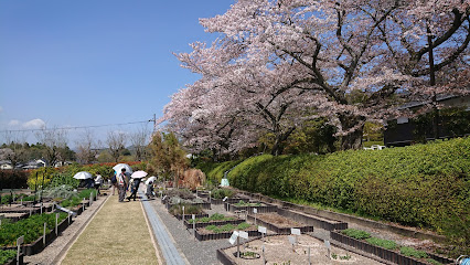 Takeda Garden for Medicinal Plant Conservation,Kyoto