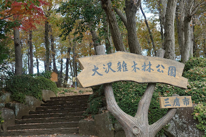Osawazokibayashi Park