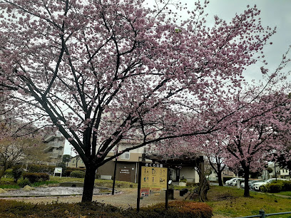 Sakura Park