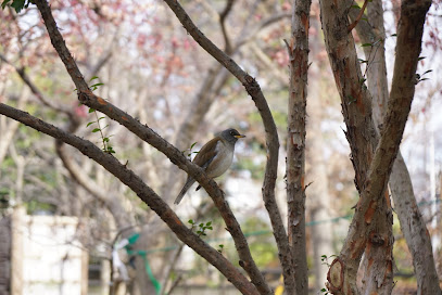 生垣樹見本園