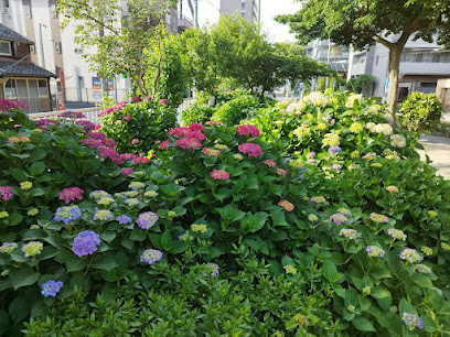 Matsuyama Park