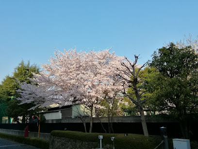 Tamukai Park