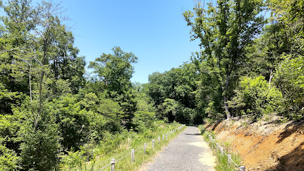 Obata Ryokuchi (Central Garden)